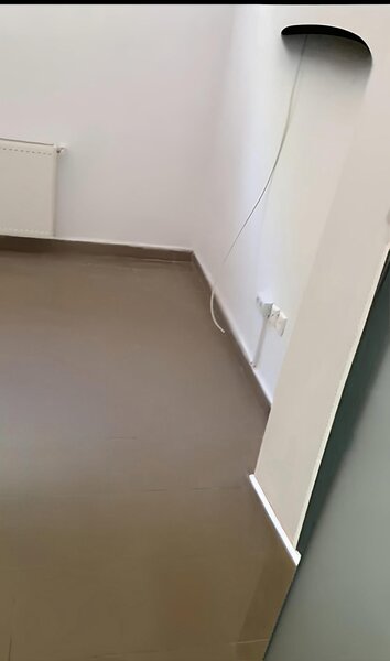 Petre Ispirescu, Sebastian, 10 minute de Unirii,